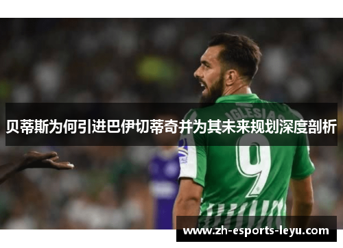 贝蒂斯为何引进巴伊切蒂奇并为其未来规划深度剖析