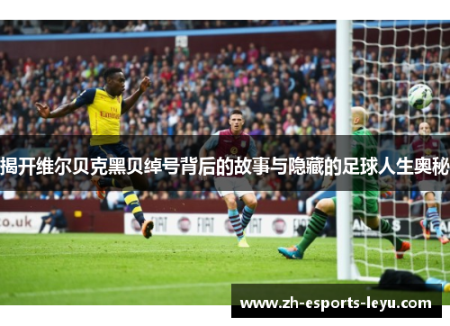 揭开维尔贝克黑贝绰号背后的故事与隐藏的足球人生奥秘