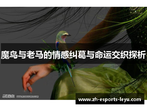 魔鸟与老马的情感纠葛与命运交织探析